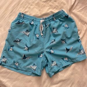 Stingray Chubbies